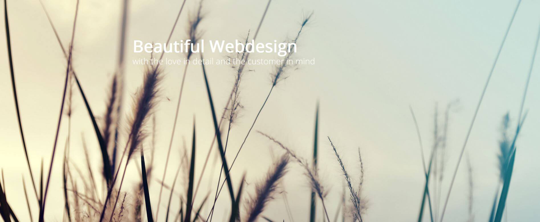 Schlichtes Webdesign und große Hintergrundbilder